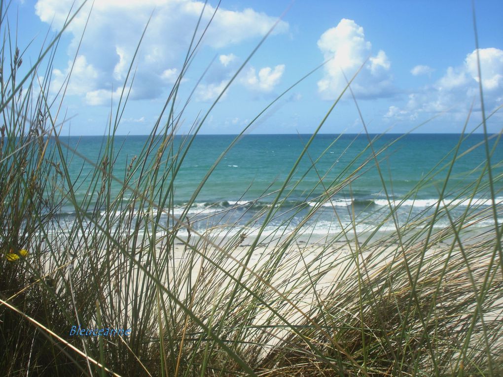 Album - Couleurs de dune...