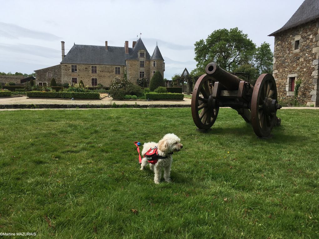 Loona à la Chabotterie. (Diaporama)