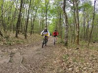 on est quand même bien dans les sous-bois