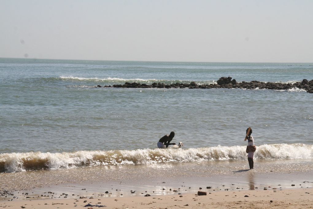 Album - Senegal-Spécial Dakar--