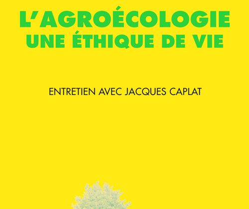 Entretien avec l’écrivain et penseur Pierre Rabhi dans 28 Minutes.