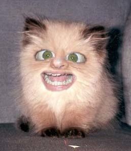 une longue pause due à une panne informatique