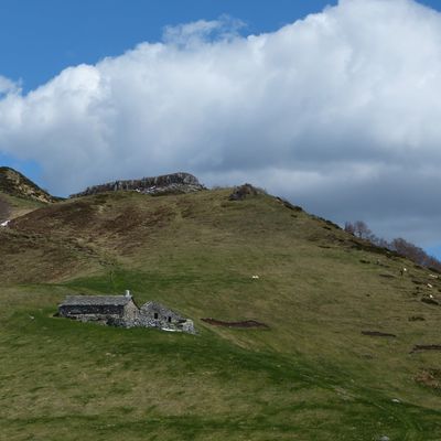 Cantal 