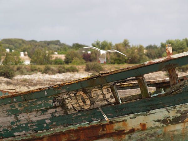 Album - Cimetière de bateaux à Noirmoutier