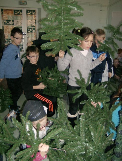 Assemblage et décoration du sapin, activités de Noël