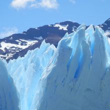 Calafate / Glaciar Perito Moreno