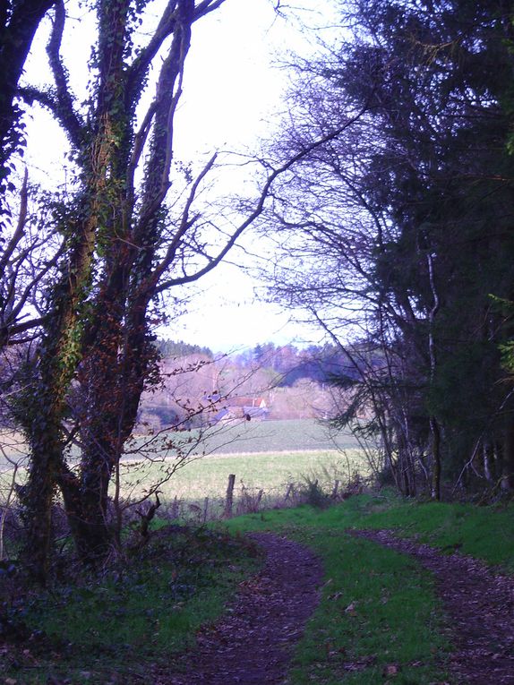 La région des Combrailles, au nord du Puy de Dôme, au printemps, été, automne. Début des années 2000.