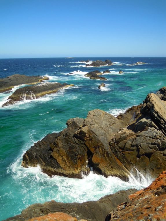 Album - VM. AUSTRALIE - Seal Rocks