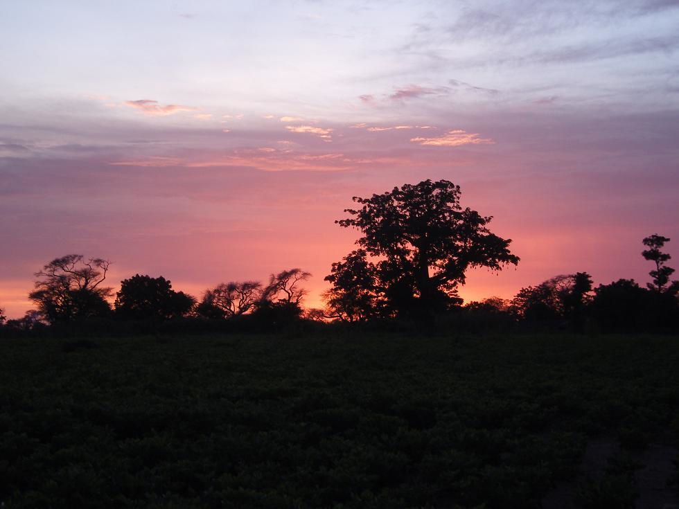 Album - Village Keur Daw Mbor