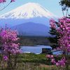 FUJI Montaigne in JAPAN