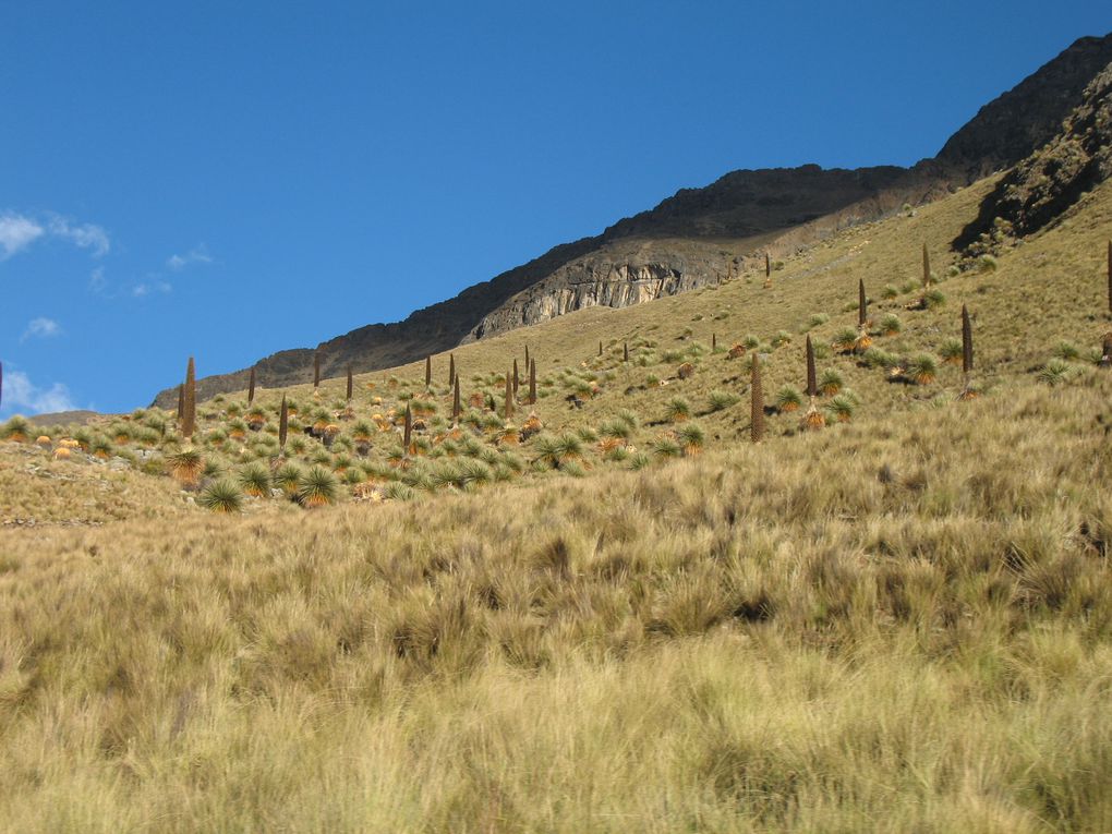 Lac Titicaca : îles Uros, île Taquille, île Amantani / Cusco / Chinchero / Machu Picchu / Pisac / Aguas calientes / Ollantaytambo / Arequipa / Colca / Nazca / Huacachina / Lima / Huaraz / Trujillo / Huanchaco
