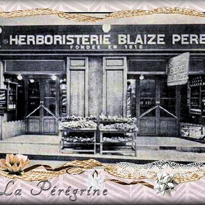 L'herboristerie du père Blaize  et les tissus Bouchara.....