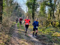 Trail des Monts de Gy 2022 : les photos