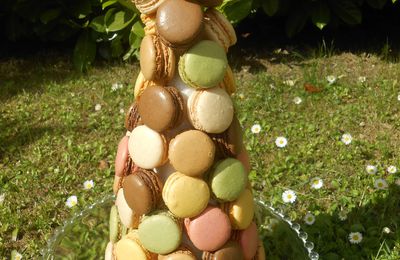 MACARONS EN PIECE MONTEE