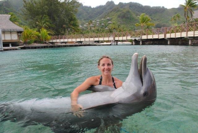 photos de dauphins en captivité à l'intercontental de Mooréa: idéal pour les enfants...