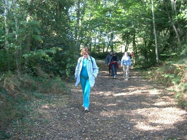 Samedi 20 octobre avait lieu la randonn&eacute;e&nbsp;&quot;la foul&eacute;es de des vignerons&quot; 18 km dans le M&eacute;doc, par une journ&eacute;e fra&icirc;che mais ensoleill&eacute;e. Tout au long du parcours nous avons pu d&eacute;guster, admirer les sous bois, et les belles couleurs de l'automne. Nous n'&eacute;tions pas les seuls, ce parcours regroupait aussi des coureurs &agrave; pieds. Pour r&eacute;compense,&nbsp; chacun a re&ccedil;u une bouteille de M&eacute;doc.