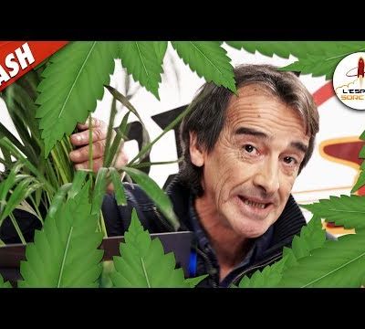 Le cannabis rend-il dépendant ? - Flash #12 - L'Esprit Sorcier