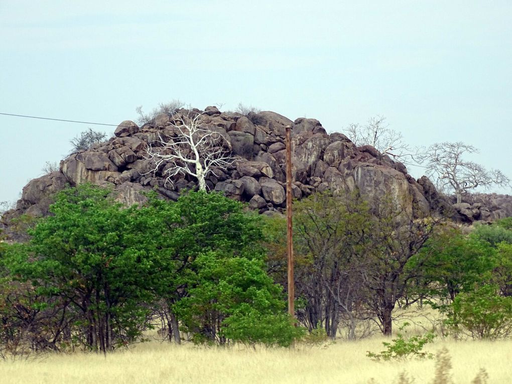 Namibie, Etosha, nos galères mécaniques