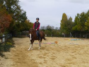 une séance d'équitation à califourchon