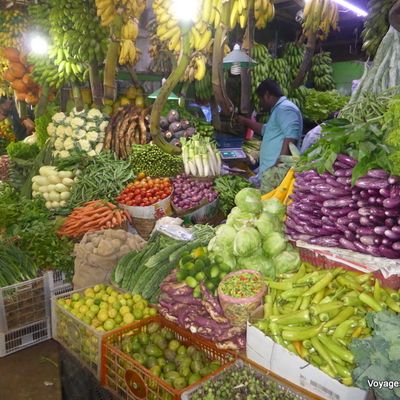 De Nuwara Eliya à Ella