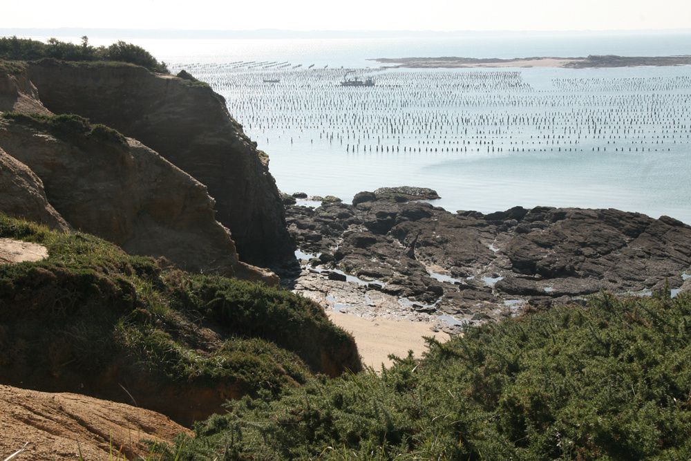 Les parcs à moules de bouchot de la Pointe du Bil