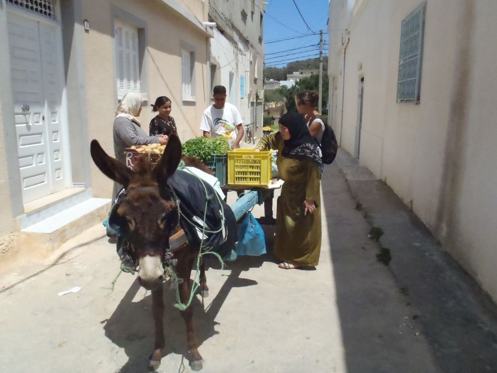 Album - Tunisie