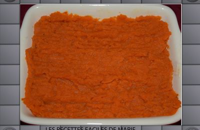 PARMENTIER DE CAROTTES