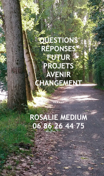 Que Signifie Votre Reve Chat Rosalie Dans Tous Ses Etats