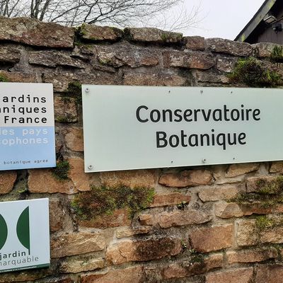 Visite au Conservatoire botanique de Brest