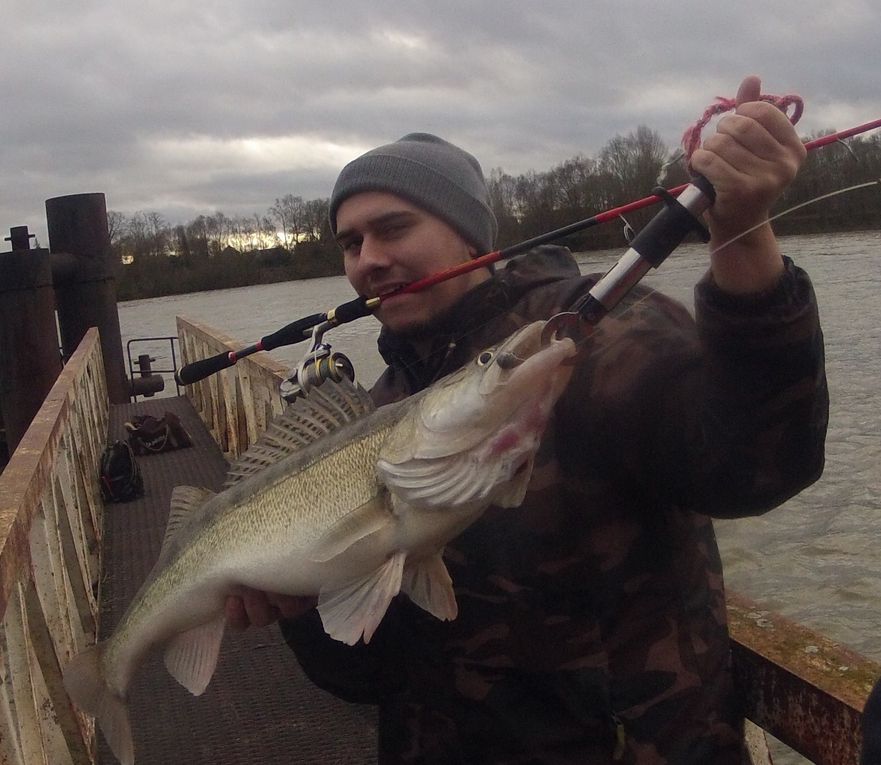 2012 est déja commencer et les fish ne tardent pas à montrer leurs nageoires