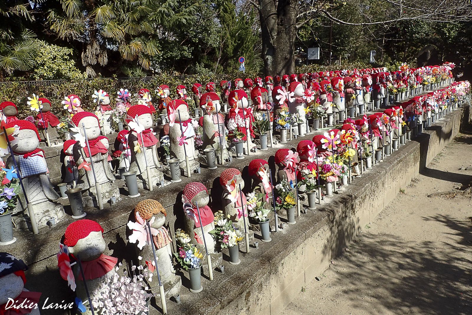 TEMPLE BOUDDHIQUE : ZOJO -JI 増上寺