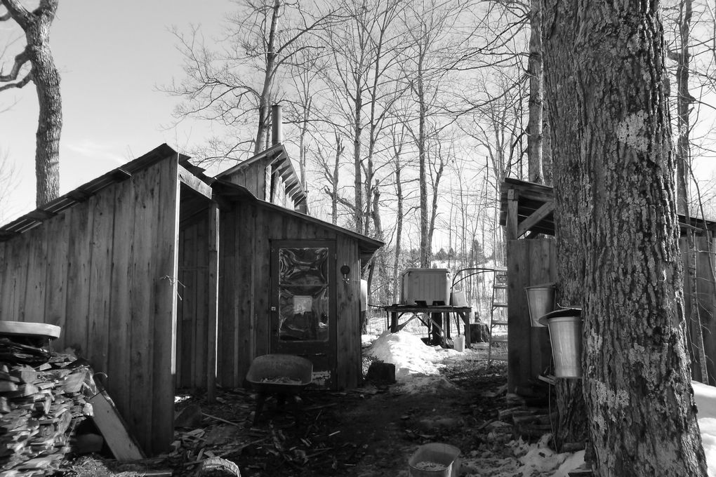 Album - La-cabane-a-sucre-chez-Mario