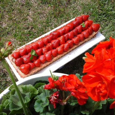 Tarte fraises rhubarbe