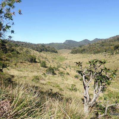 Randonnée dans le parc national de Horton Plains