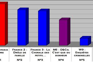 Audiences du 29/12/10 : Flop pour la soirée TF1. Succès pour Fr2 & Fr3