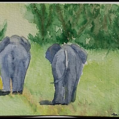 ELEPHANT N1, carte postale 