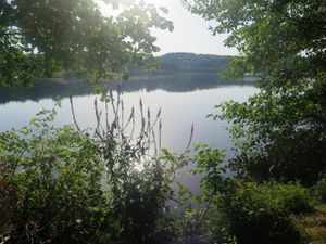 Le lac est très reposant et rafraîchissant à cette heure.