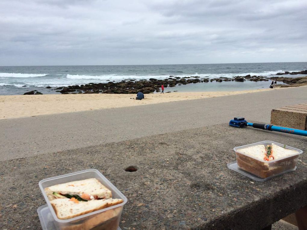 Coogee to Bondi