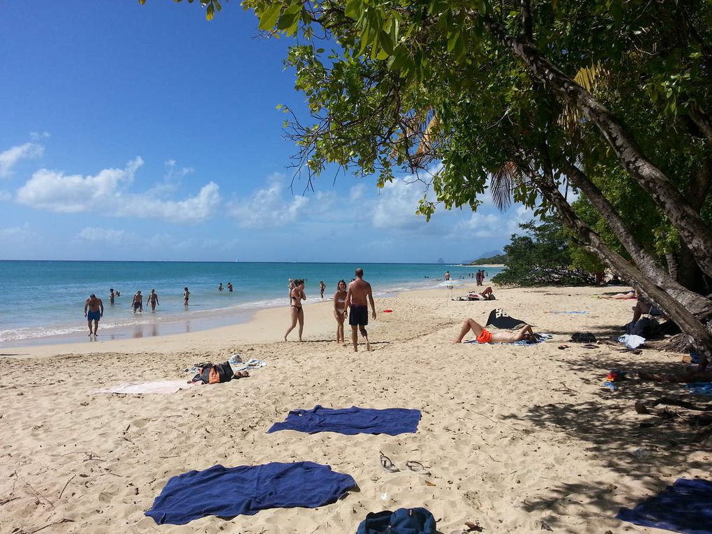 Les fêtes en Martinique, ça bouge ! 