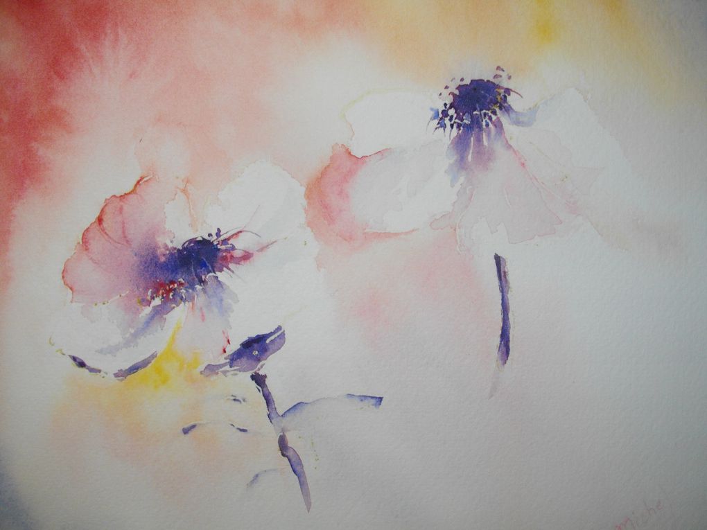 AQUARELLE