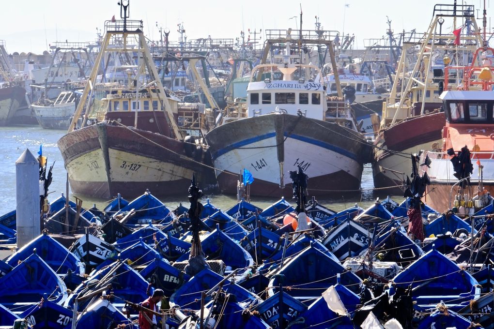 Les chalutiers ornent le port comme de gros mammouths....surs de leur force, discrets et ancrés, ils sont à l'instar des barques, réparés, bichonnés, bricolés encore et toujours, ils sont la puissance du port, son étendard et sa fierté...