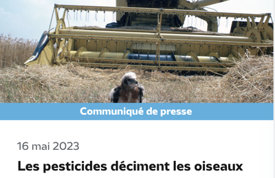 Découvrir la LPO, Ligue de Protection des Oiseaux, et pleurer...