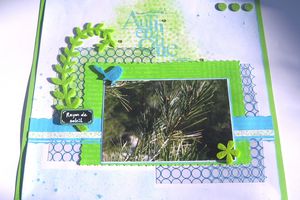 Une nature authentique pour ma page de scrap pour Zibuline !