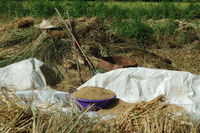 Arrivée à Mongo en pleine célébration: fête de Id Al Fitr, fin du Ramadan, repas entre volontaires perdus en plein Sahel, rando dans la Reine du Guéra, j'en prends plein la vue et les oreilles!