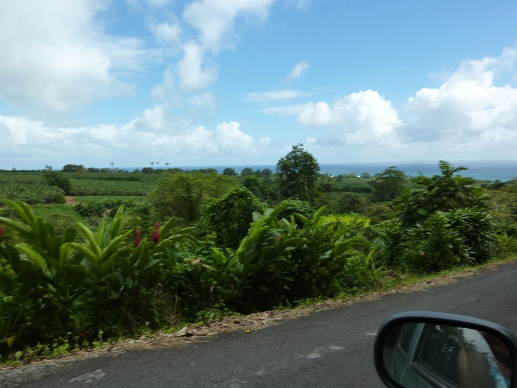 Séjour en Guadeloupe du 06 au 16/12/2009