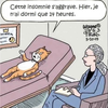 Le sommeil du chat