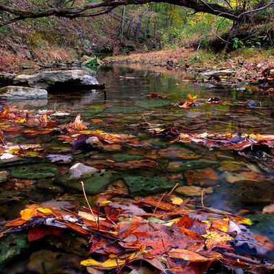 Paysage - Rivière - Automne - Picture - Free