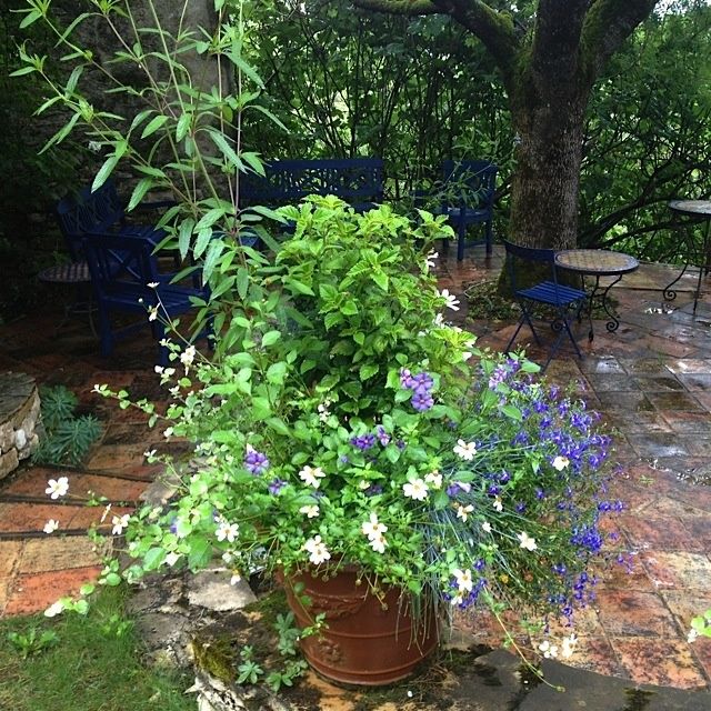 Jardins de Quercy, 7 juillet 2014