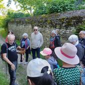 Atelier cueillette comestible - Angers coach jardins