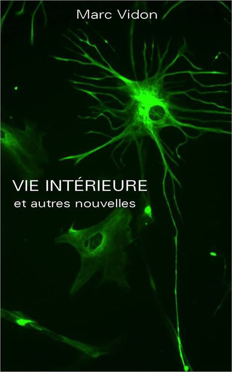 idées lecture spécial nouvelles